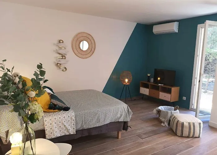 Grand studio 35m2 centre ville